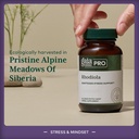 gaia-herbs-pro-rhodiola-energy-support-s-3.jpg