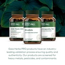 gaia-herbs-pro-rhodiola-energy-support-s-6.jpg