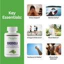 paradise-herbs-rhodiola-extract-500mg-su-4.jpg