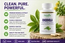 paradise-herbs-rhodiola-extract-500mg-su-2.jpg