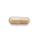 gnc-herbal-plus-rhodiola-extract-340mg-1-4.jpg