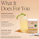 arbonne-gut-health-digestion-support-mic-2.jpg