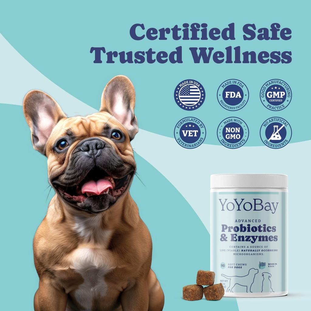 probiotics-for-dogs-dog-probiotics-and-d-4.jpg