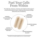multivitamin-multimineral-supplement-60--4.jpg