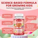 2-pack-magnesium-gummies-for-kids-magnes-2.jpg