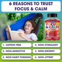brightkids-focus-calm-magnesium-gummies--6.jpg