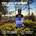 jungle-powders-wild-bilberry-extract-for-4.jpg