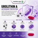 urolithin-a-500-mg-supplement-with-advan-4.jpg