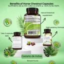 casta-o-de-indias-horse-chestnut-capsule-6.jpg