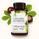 casta-o-de-indias-horse-chestnut-capsule-5.jpg