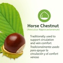 casta-o-de-indias-horse-chestnut-capsule-3.jpg
