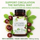 casta-o-de-indias-horse-chestnut-capsule-2.jpg