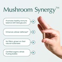 natura-health-products-mushroom-synergy--2.jpg
