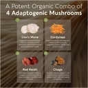 organic-emperor-4-mushroom-blend-powder--2.jpg