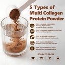 zammex-multi-collagen-protein-powder-typ-3.jpg