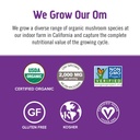 om-mushroom-superfood-hot-chocolate-blen-4.jpg