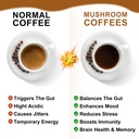 2pack-mushroom-coffee-lions-mane-mushroo-5.jpg