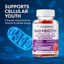 healblend-nad-biotin-gummies-collagen-pe-6.jpg
