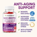 healblend-nad-biotin-gummies-collagen-pe-4.jpg