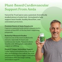 naturecity-true-capros-amla-fruit-extrac-4.jpg