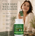 zafira-organics-zafira-recovery-foundati-2.jpg