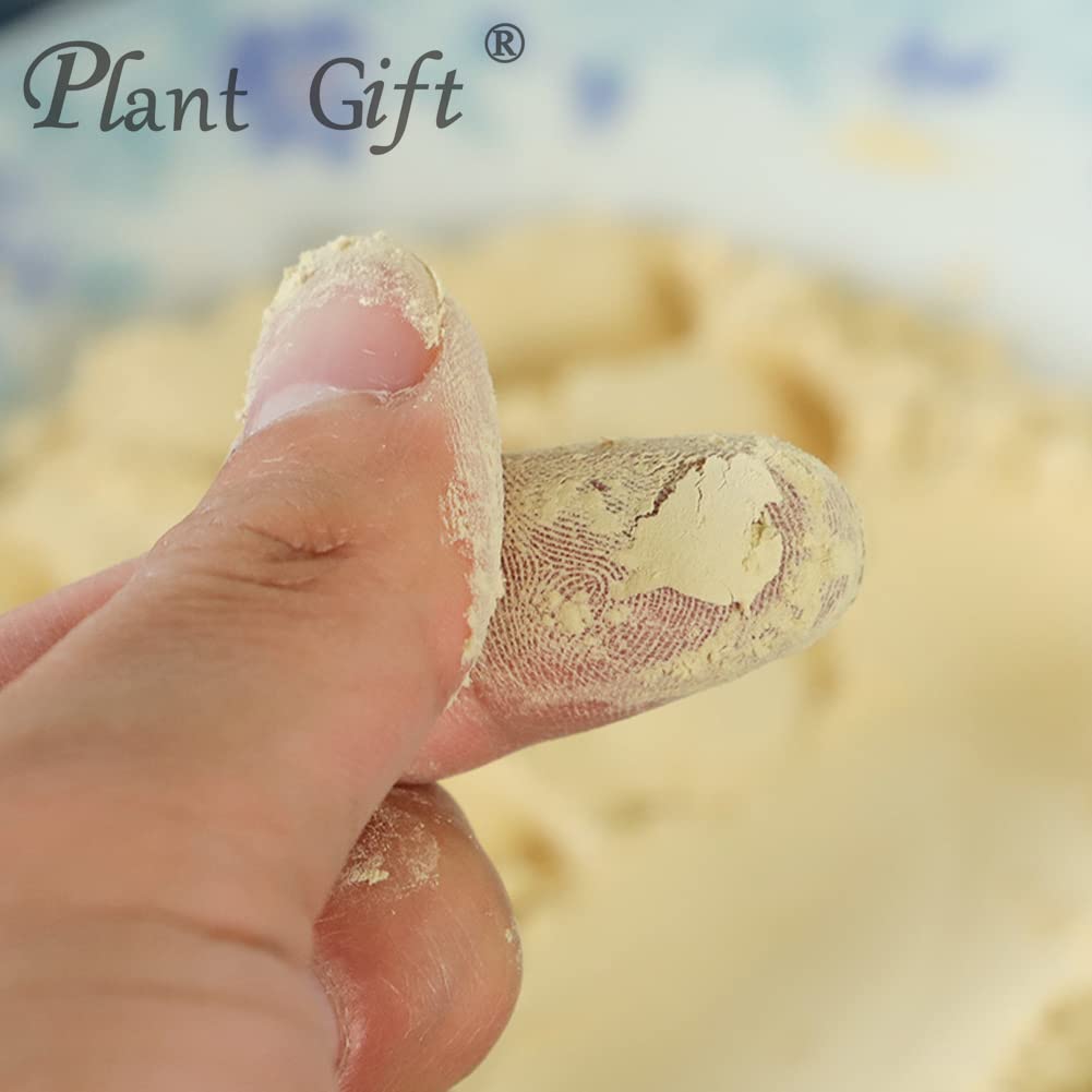 plant-gift-100-pure-hericium-erinaceus-p-4.jpg