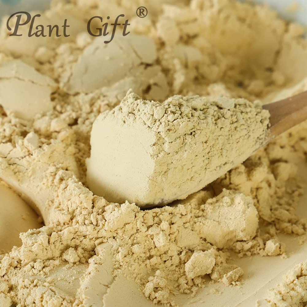 plant-gift-100-pure-hericium-erinaceus-p-3.jpg