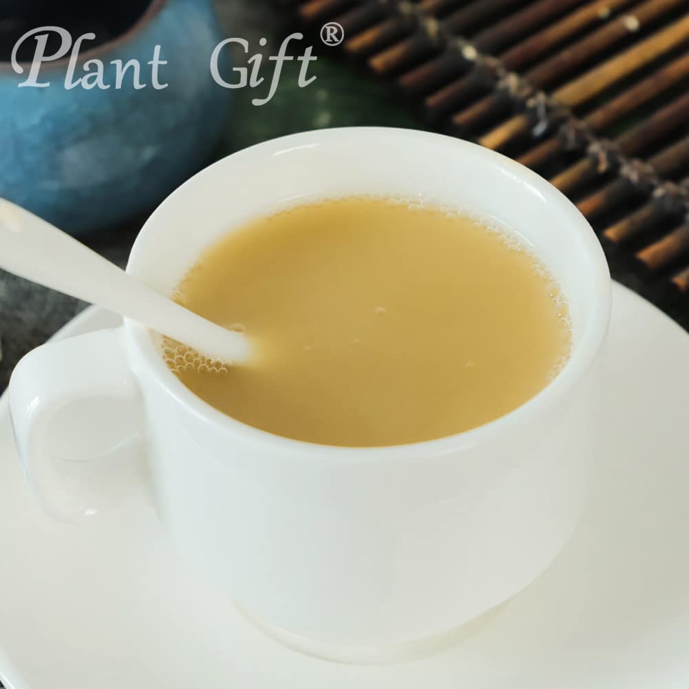 plant-gift-100-pure-hericium-erinaceus-p-5.jpg