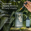 zuma-nutrition-fulvic-acid-trace-mineral-2.jpg