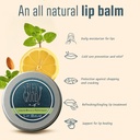 the-ilex-wood-all-natural-lip-balm-lemon-6.jpg