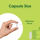 bestvite-organic-lion-s-mane-500mg-120-v-4.jpg