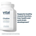 vital-nutrients-choline-550mg-vegan-chol-3.jpg