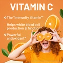 immune-complex-once-a-day-vitamin-c-900m-3.jpg