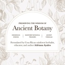 anima-mundi-apothecary-cerebrum-brain-to-6.jpg