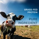 gopower-whey-protein-powder-with-bcaas-g-4.jpg
