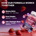 migcopat-mens-multivitamins-gummies-brai-4.jpg