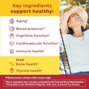 nature-made-advanced-multivitamin-gummie-3.jpg