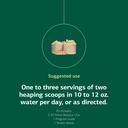 standard-process-sp-detox-balance-chai-2-5.jpg