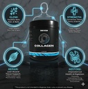 driven-nutrition-collagen-peptides-powde-5.jpg