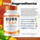 burn-peak-capsules-official-burnpeak-sup-6.jpg