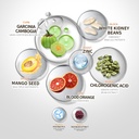 check-in-body-sculpt-metabolism-efferves-2.jpg