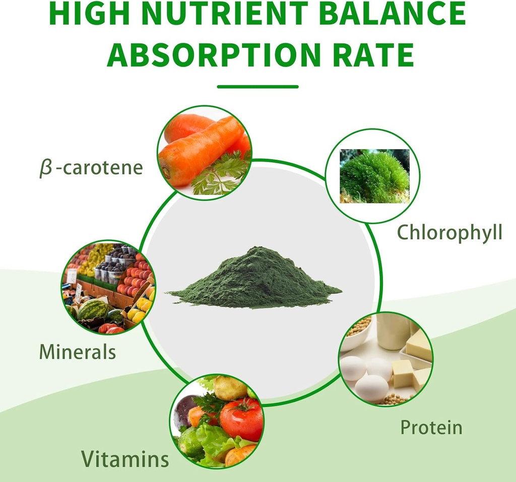 organic-spirulina-powder-non-gmo-usda-ce-4.jpg