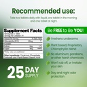 body-mint-original-chlorophyll-deodorizi-2.jpg