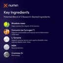 numin-decision-fatigue-support-supplemen-6.jpg