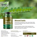 pub-bhumi-amla-tablets-500-mg-120-no-s-n-3.jpg