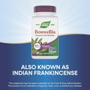 nature-s-way-boswellia-standardized-extr-4.jpg
