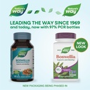 nature-s-way-boswellia-standardized-extr-2.jpg
