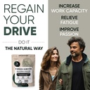 jungle-powders-bundle-for-men-s-health-v-3.jpg