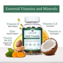 salaam-nutritionals-adult-multivitamins--2.jpg