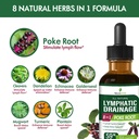 poke-root-herb-lymphatic-drainage-drops--4.jpg